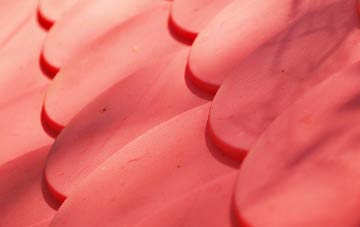 Blakebrook plastic roof costs